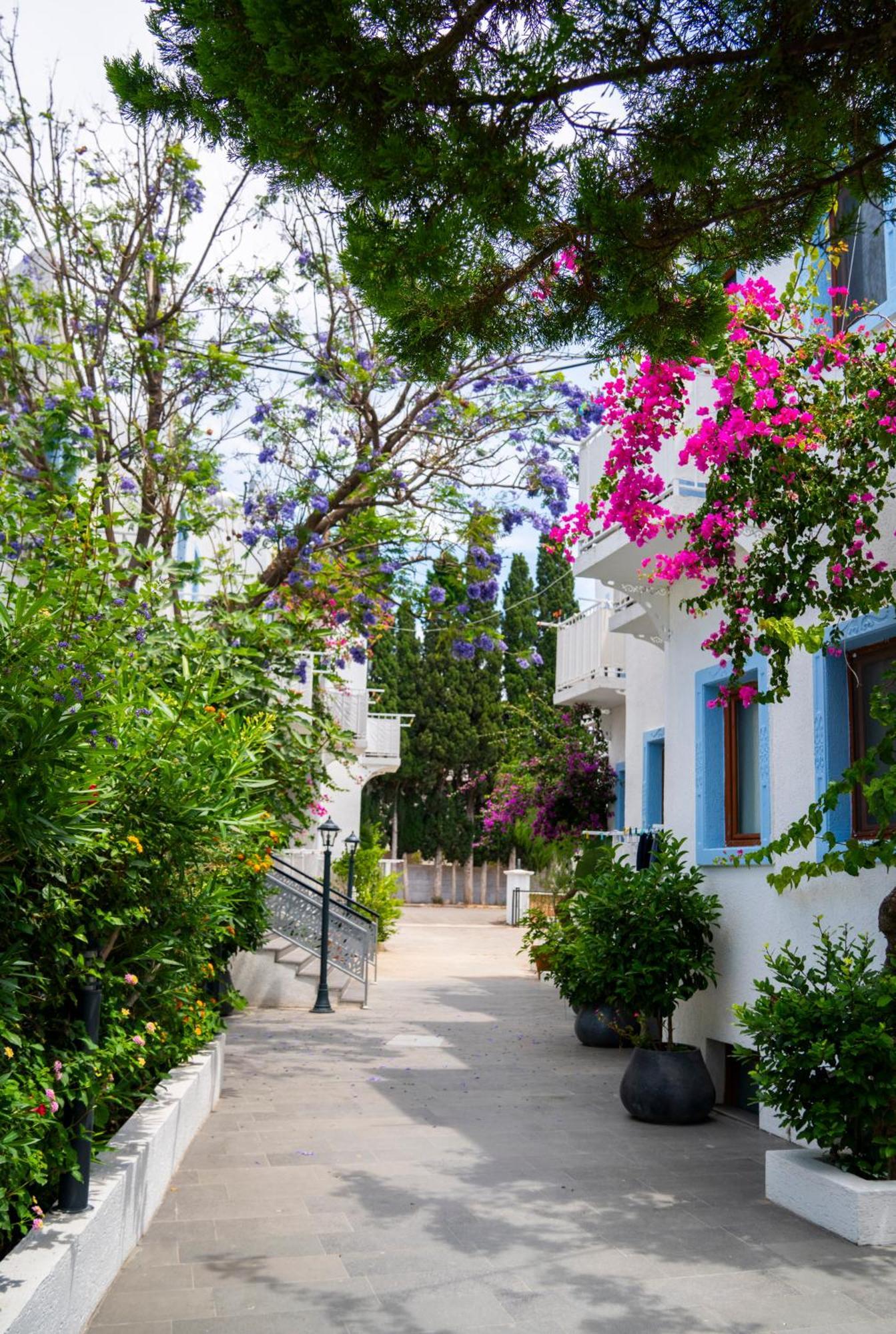 Manuela Boutique Hotel Bitez Exterior foto