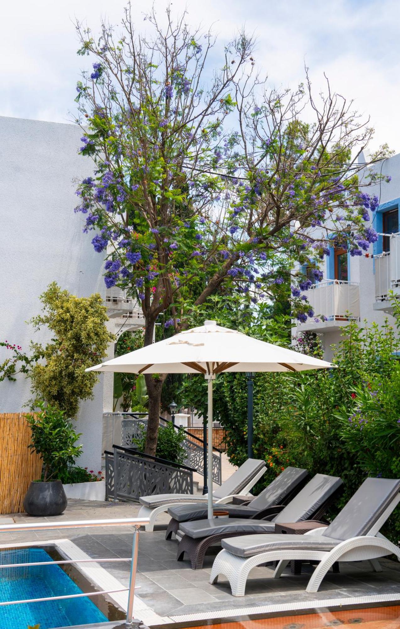 Manuela Boutique Hotel Bitez Exterior foto