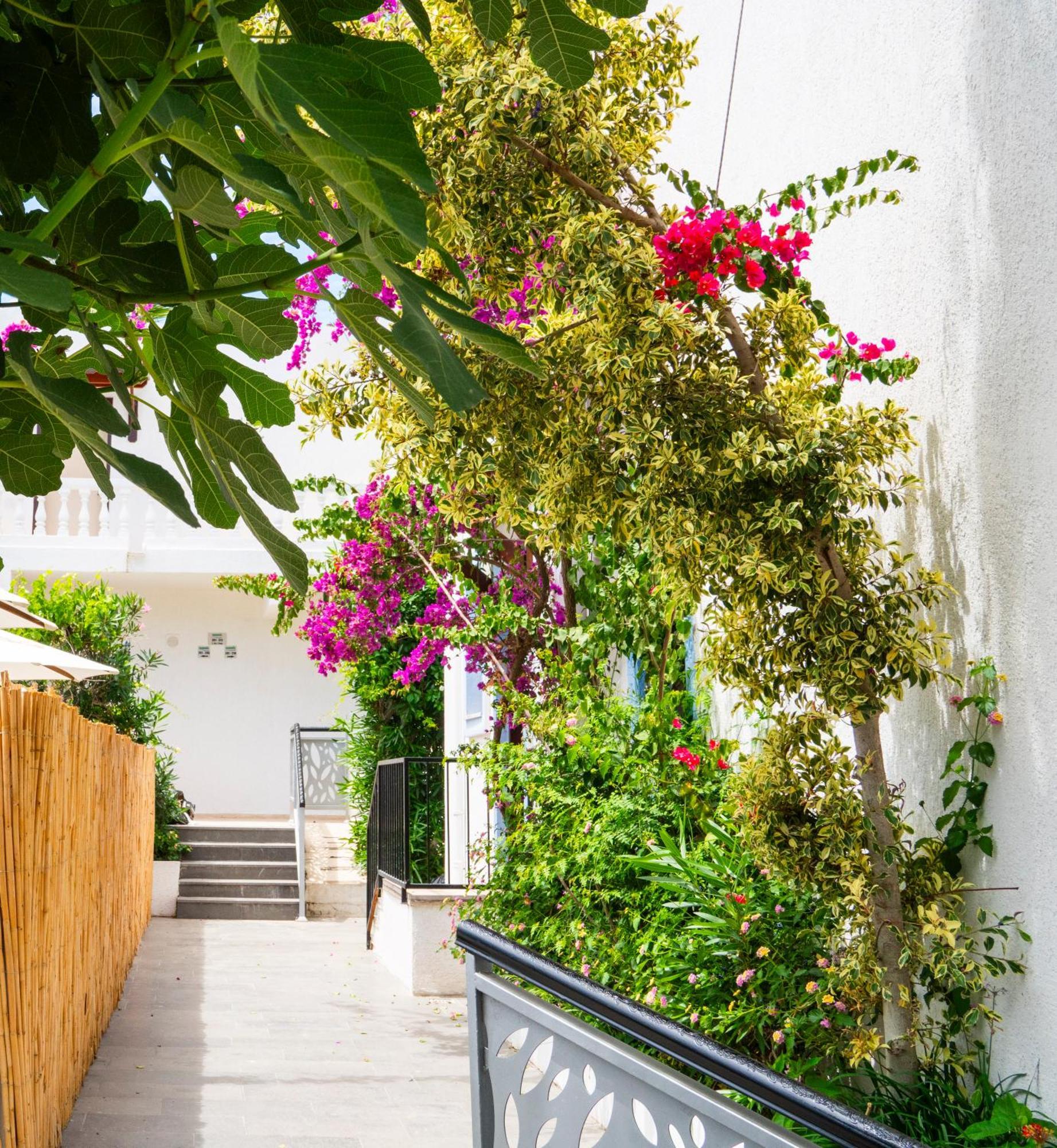 Manuela Boutique Hotel Bitez Exterior foto