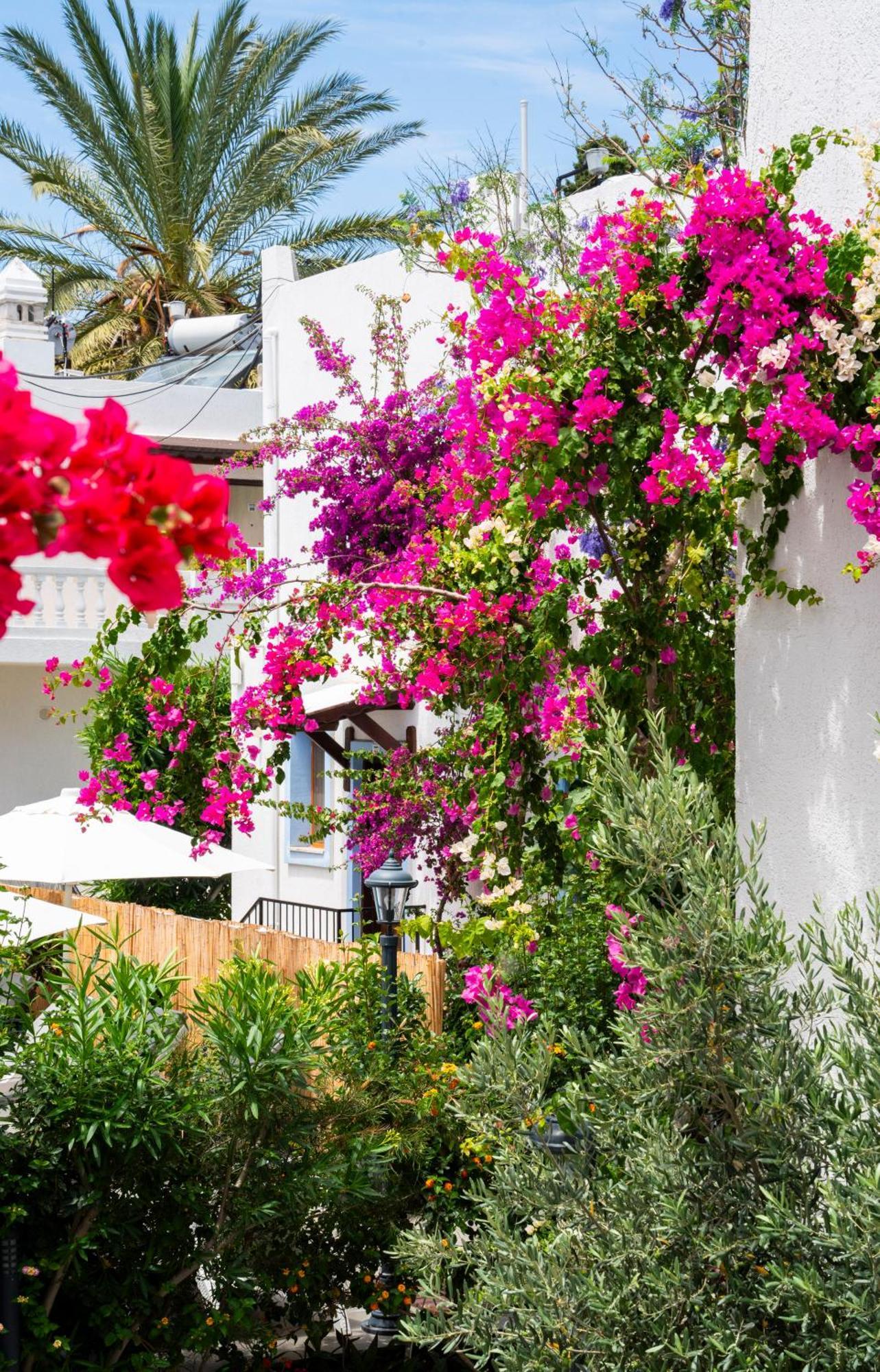 Manuela Boutique Hotel Bitez Exterior foto