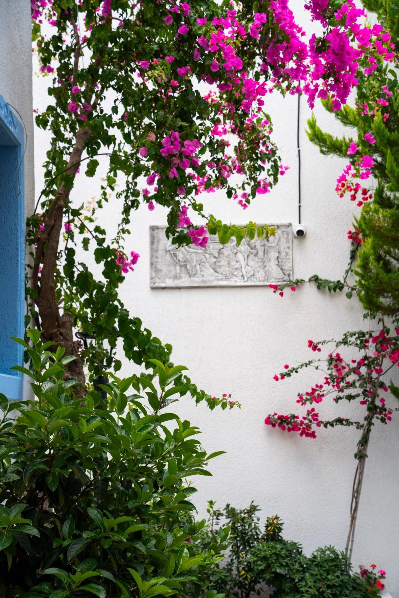 Manuela Boutique Hotel Bitez Exterior foto